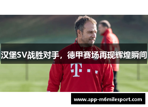 汉堡SV战胜对手，德甲赛场再现辉煌瞬间