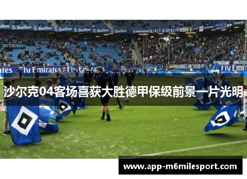 沙尔克04客场喜获大胜德甲保级前景一片光明